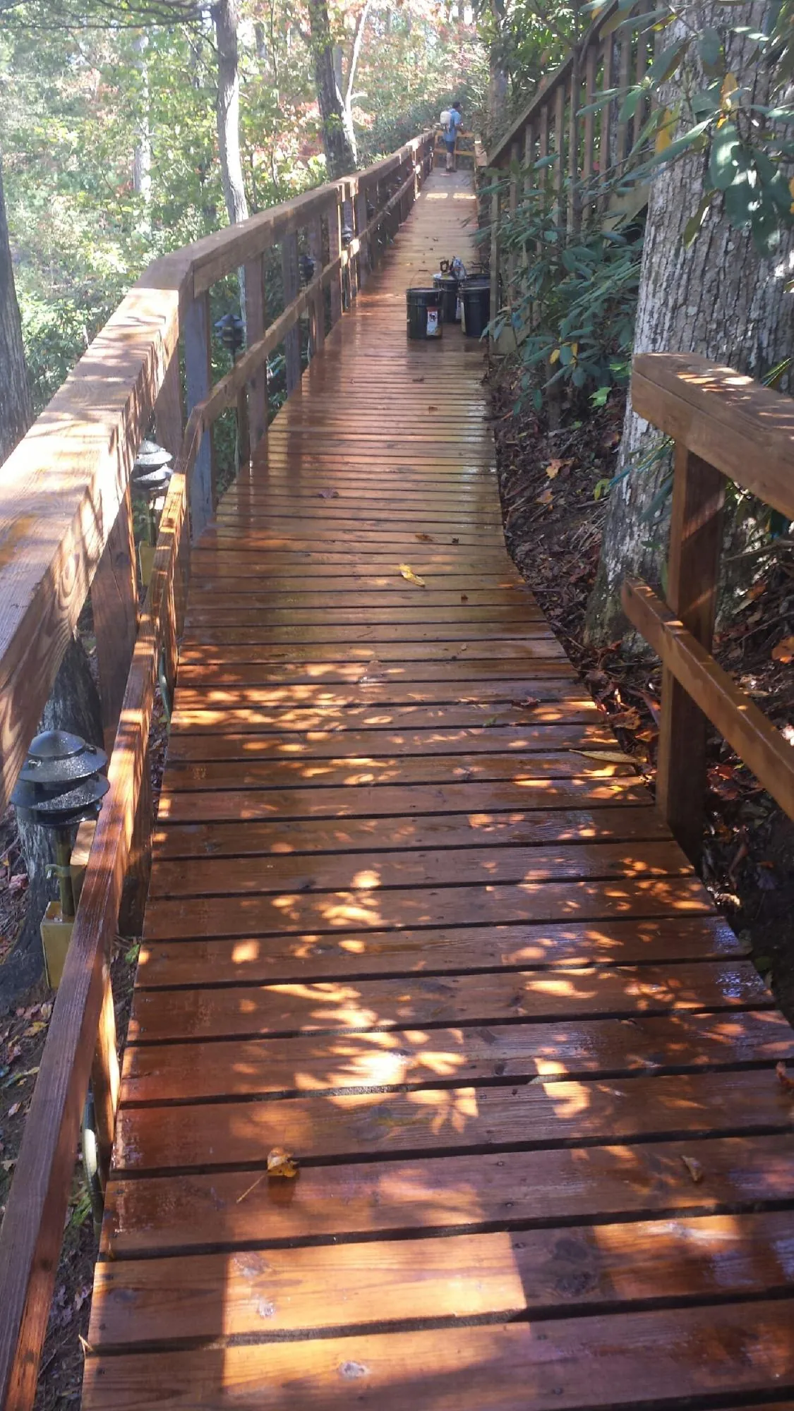 Freshly stained wood walkway winding through the woods in Clarksville
